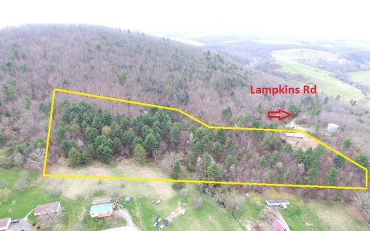 photo for a land for sale property for 45060-86014-Wytheville-Virginia