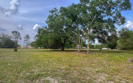photo for a land for sale property for 09090-86277-Bell-Florida