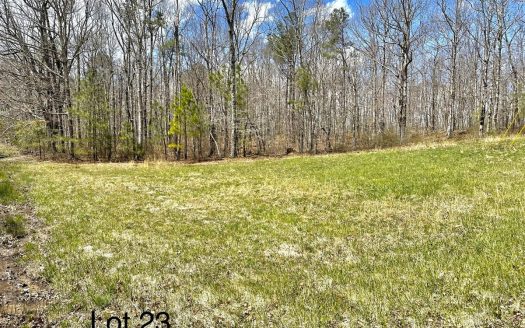 photo for a land for sale property for 41111-12986-Belvidere-Tennessee