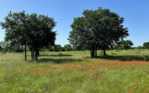 photo for a land for sale property for 42165-53924-Brownwood-Texas
