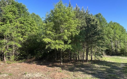 photo for a land for sale property for 32118-20267-Candor-North Carolina