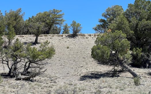 photo for a land for sale property for 30014-42730-Chama-New Mexico