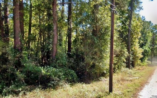 photo for a land for sale property for 39065-00070-Cheraw-South Carolina