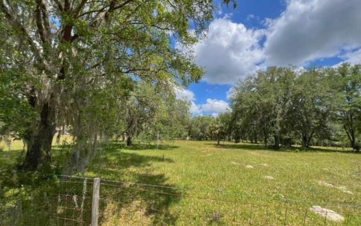 photo for a land for sale property for 09090-90616-Chiefland-Florida