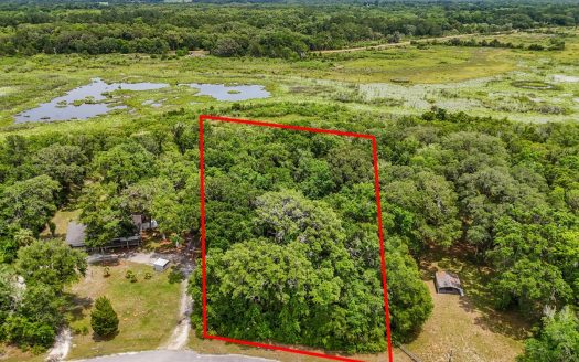 photo for a land for sale property for 09090-90661-Chiefland-Florida