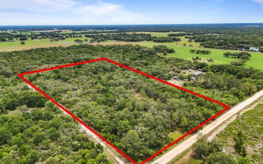 photo for a land for sale property for 09090-90662-Chiefland-Florida
