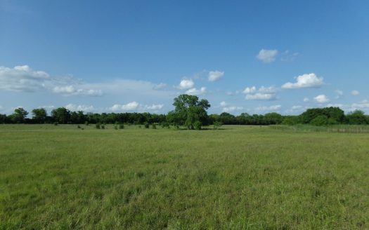 photo for a land for sale property for 42233-13892-Clarksville-Texas