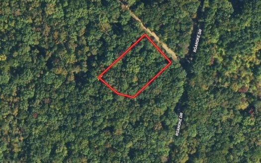 photo for a land for sale property for 45007-68880-Clarksville-Virginia