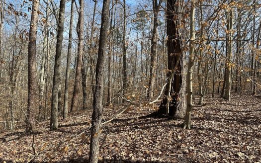 photo for a land for sale property for 45007-69420-Clarksville-Virginia