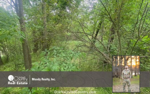 photo for a land for sale property for 03075-41985-Cotter-Arkansas