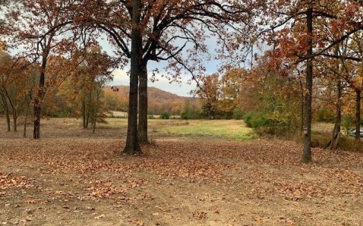 photo for a land for sale property for 24019-75830-Doniphan-Missouri