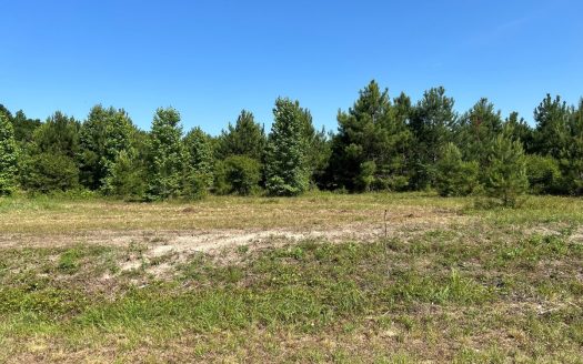 photo for a land for sale property for 01024-24038-Dozier-Alabama