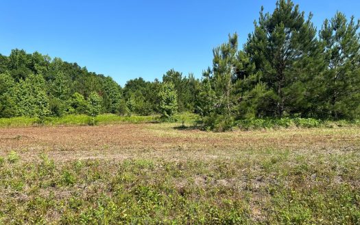 photo for a land for sale property for 01024-24039-Dozier-Alabama