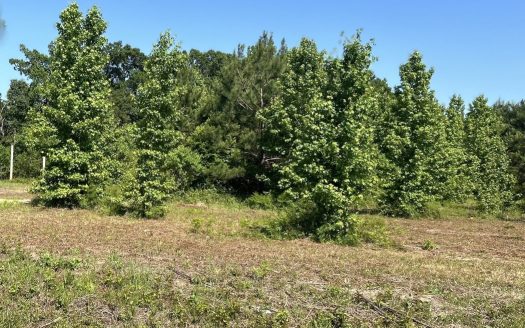 photo for a land for sale property for 01024-24040-Dozier-Alabama
