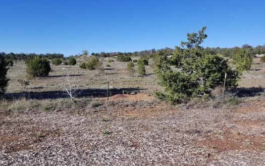 photo for a land for sale property for 30050-43984-Edgewood-New Mexico