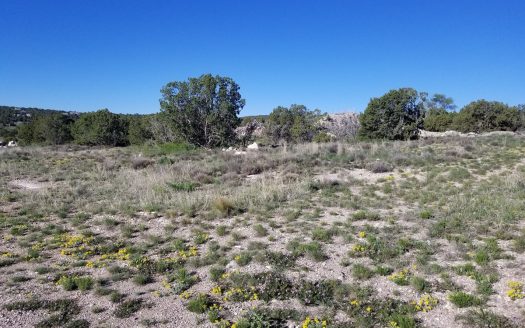 photo for a land for sale property for 30050-44034-Edgewood-New Mexico