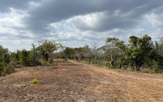 photo for a land for sale property for 60003-24057-El Higo-Panama