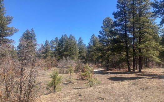 photo for a land for sale property for 30014-42680-Ensenada-New Mexico