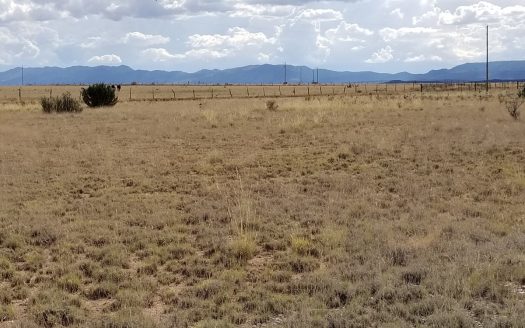 photo for a land for sale property for 30050-51883-Estancia-New Mexico