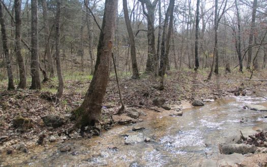 photo for a land for sale property for 03037-97800-Eureka Springs-Arkansas