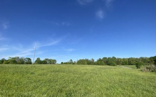 photo for a land for sale property for 41053-55390-Five Points-Tennessee