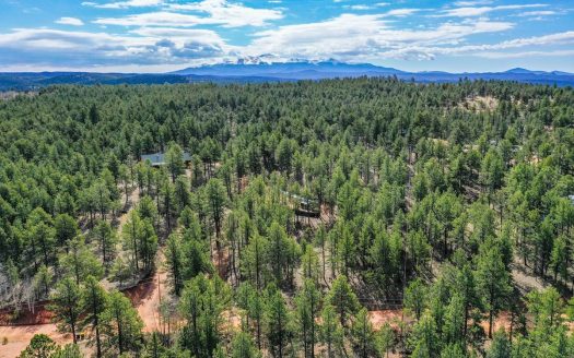 photo for a land for sale property for 05044-68799-Florissant-Colorado