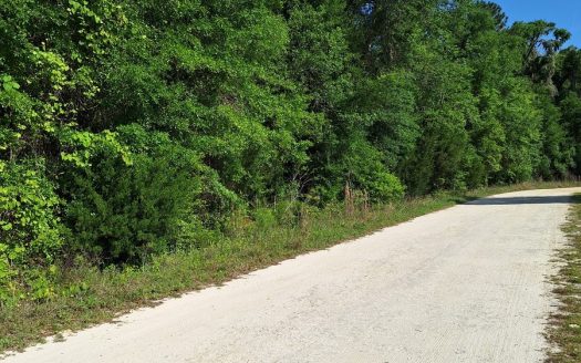 photo for a land for sale property for 09090-90649-Fort White-Florida