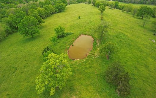 photo for a land for sale property for 24084-66380-Gainesville-Missouri