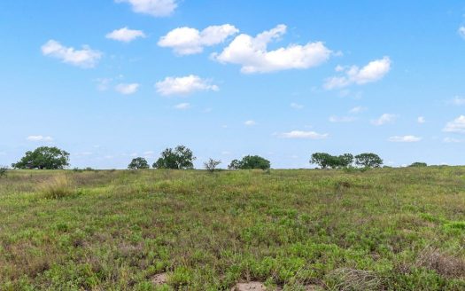 photo for a land for sale property for 42281-41847-George West-Texas
