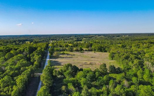 photo for a land for sale property for 24258-60296-Goodson-Missouri