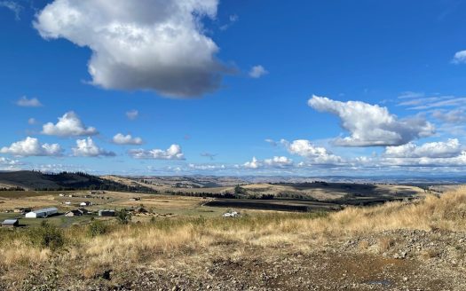 photo for a land for sale property for 11055-10339-Grangeville-Idaho
