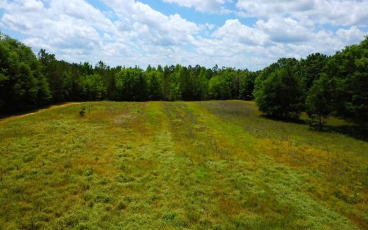 photo for a land for sale property for 01024-24036-Greenville-Alabama