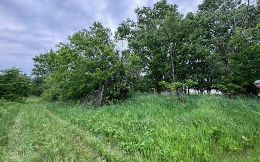 photo for a land for sale property for 24022-55110-Hamilton-Missouri