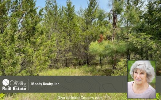 photo for a land for sale property for 03075-41831-Horseshoe Bend-Arkansas