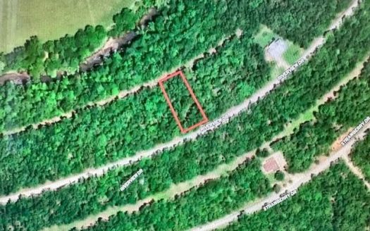 photo for a land for sale property for 24078-93490-Horseshoe Bend-Arkansas