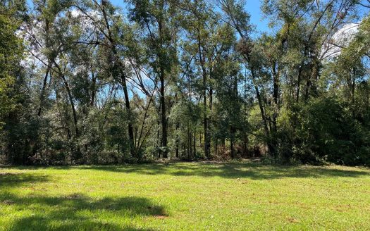 photo for a land for sale property for 09180-20972-Jennings-Florida