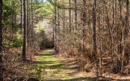 photo for a land for sale property for 23042-24888-Kilmichael-Mississippi