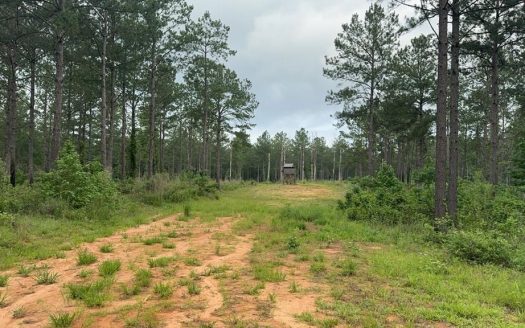 photo for a land for sale property for 23042-41392-Liberty-Mississippi