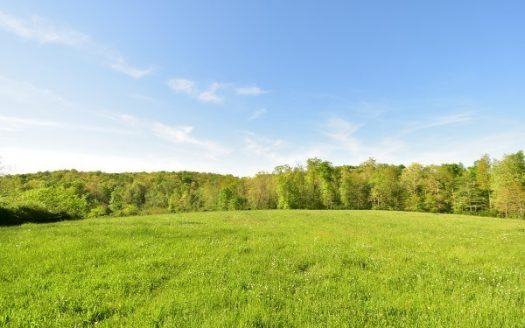 photo for a land for sale property for 41053-55400-Linden-Tennessee