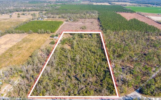 photo for a land for sale property for 09090-22589-Live Oak-Florida