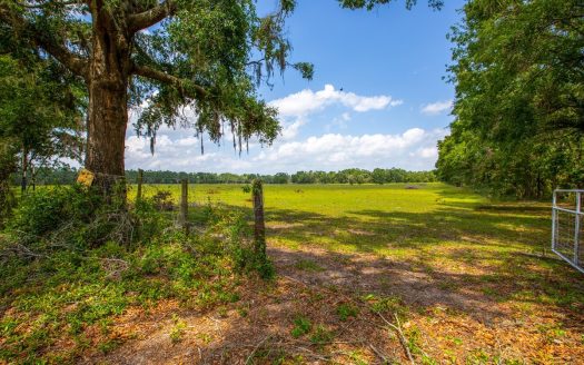 photo for a land for sale property for 09090-23447-Live Oak-Florida
