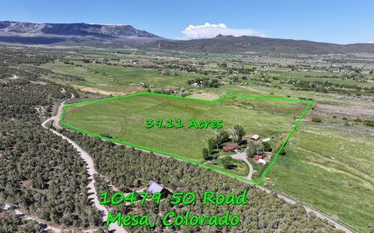 photo for a land for sale property for 05071-24107-Mesa-Colorado