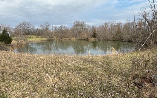 photo for a land for sale property for 24119-24019-Middletown-Missouri