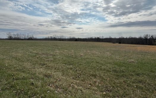 photo for a land for sale property for 24119-24020-Middletown-Missouri