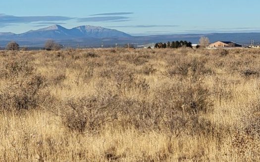 photo for a land for sale property for 30050-07651-Moriarty-New Mexico