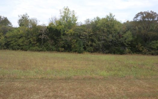 photo for a land for sale property for 03086-02292-Mountain View-Arkansas
