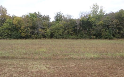 photo for a land for sale property for 03086-02297-Mountain View-Arkansas