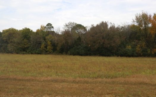 photo for a land for sale property for 03086-02298-Mountain View-Arkansas