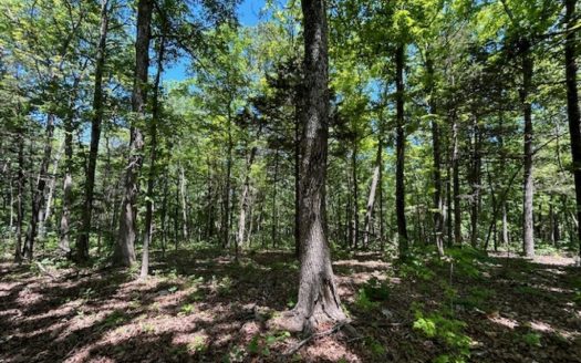 photo for a land for sale property for 03086-02385-Mountain View-Arkansas