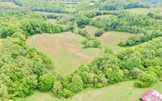 photo for a land for sale property for 41103-19789-Mulberry-Tennessee